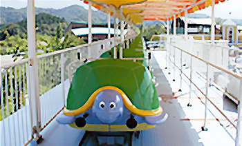 スカイタートルズ