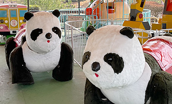 メロディペット